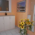 Guest house Damir