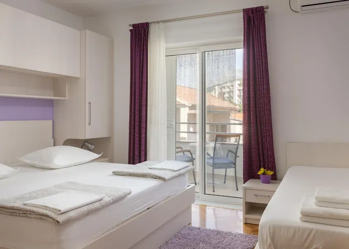 Damir 马卡尔斯卡